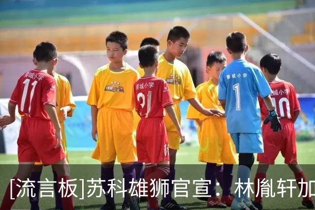 [流言板]苏科雄狮官宣：林胤轩加盟球队，将以球员兼翻译身份征战NBL